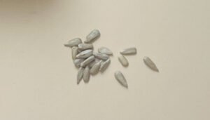 Sinsible plant drink ingredients featuring organic whole Medjool dates, peanuts, almonds, cardamom and more.