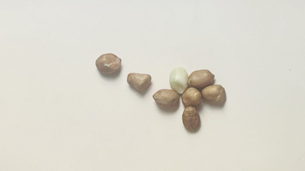 Sinsible plant drink ingredients featuring organic whole Medjool dates, peanuts, almonds, cardamom and more.